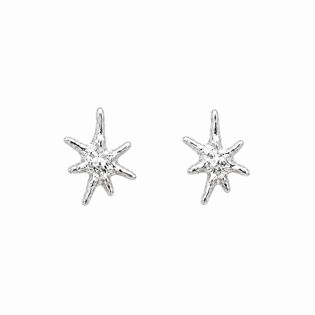 Zodiac Earring