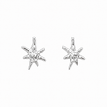Zodiac Earring