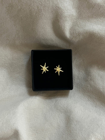 Zodiac Earring