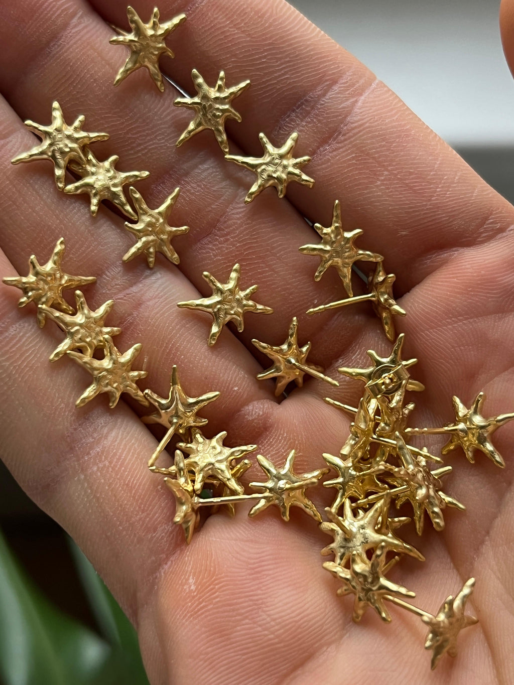 Zodiac Earring