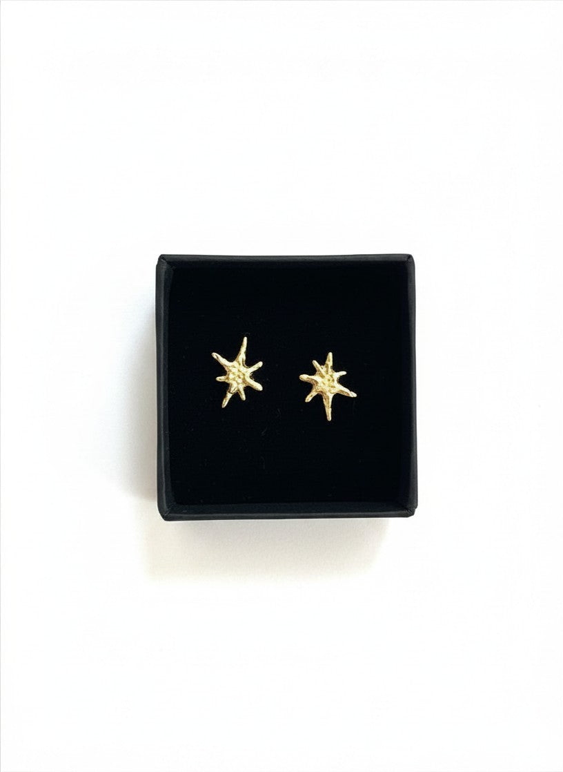 Zodiac Earring